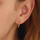 Gold Hoop Earrings