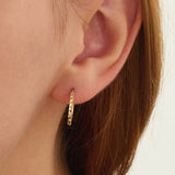 Faceted Hoop Earrings