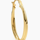 Double Oval Hoop Earrings