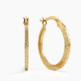 Faceted Hoop Earrings