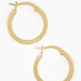 Faceted Hoop Earrings